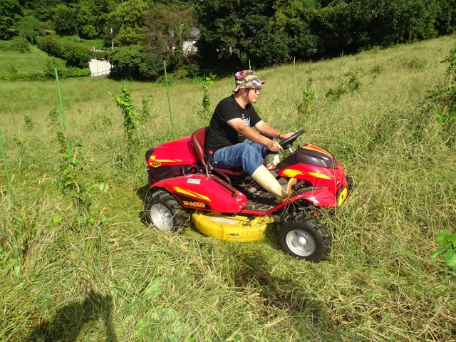 奈良初のワイナリー「木谷ワイン」──自然栽培とキャニコム『フルーティまさお』が支えるナチュラルワイン造り